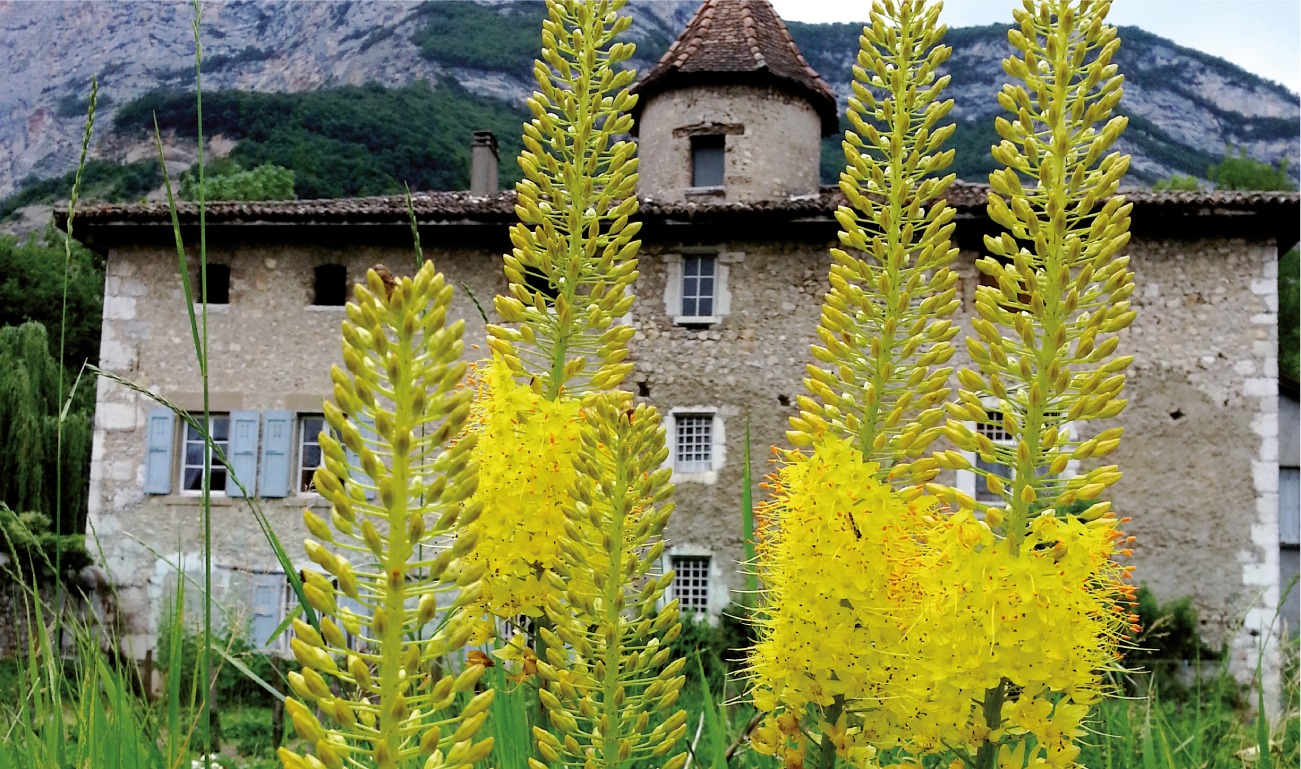 Les planteurs de Brigaudière